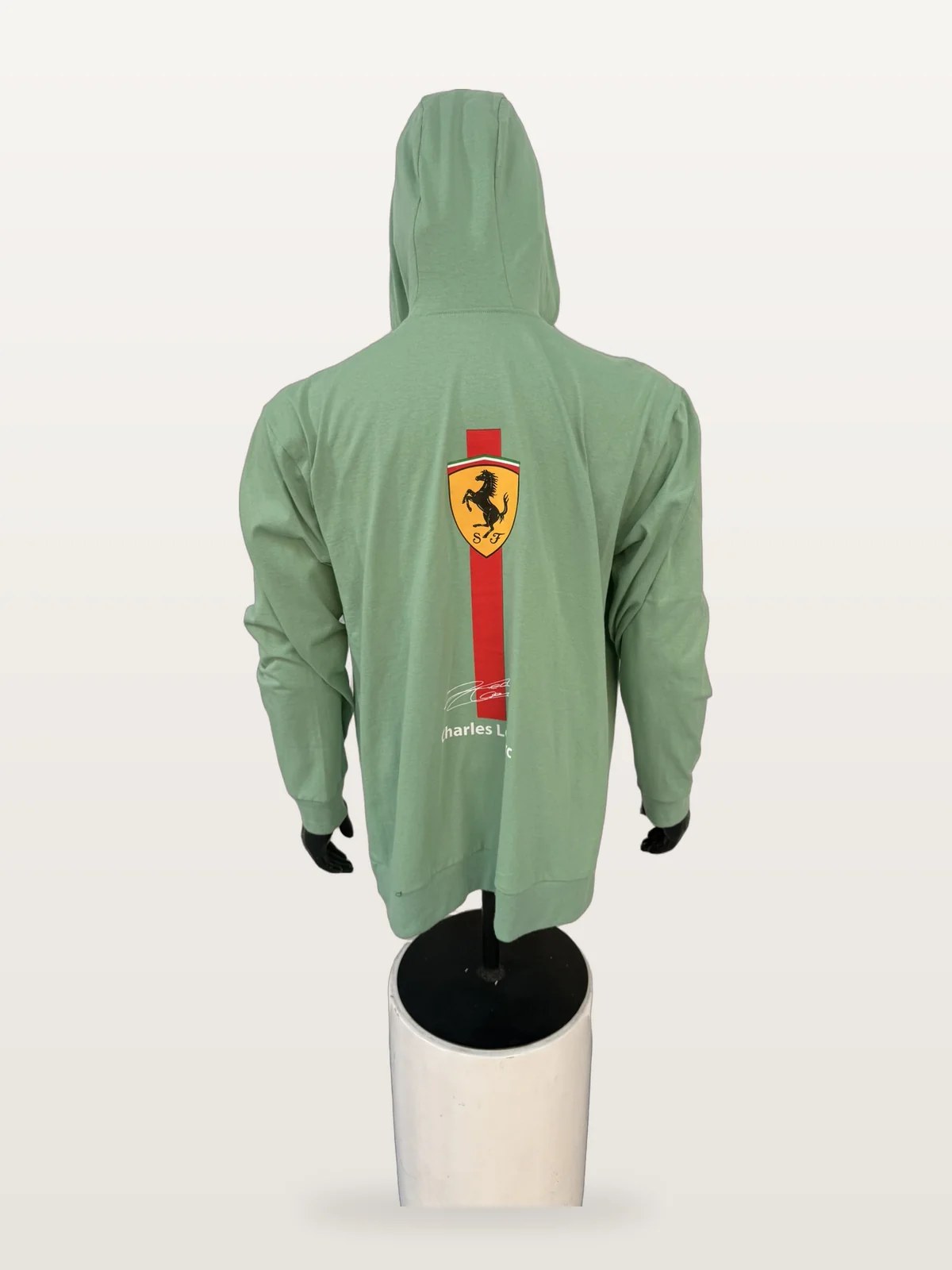 Sudadera Con Capucha De Autos Verde Salvia vista 4